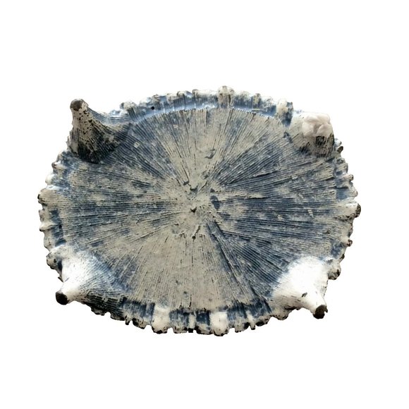 Vintage Floral Cameo Hinged Trinket/Ring Box - Picture 6 of 6